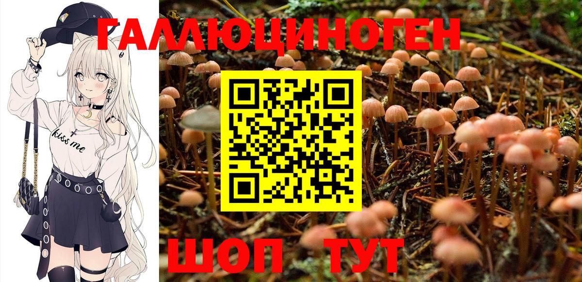 Галлюциногенные грибы прущие грибы Кохма