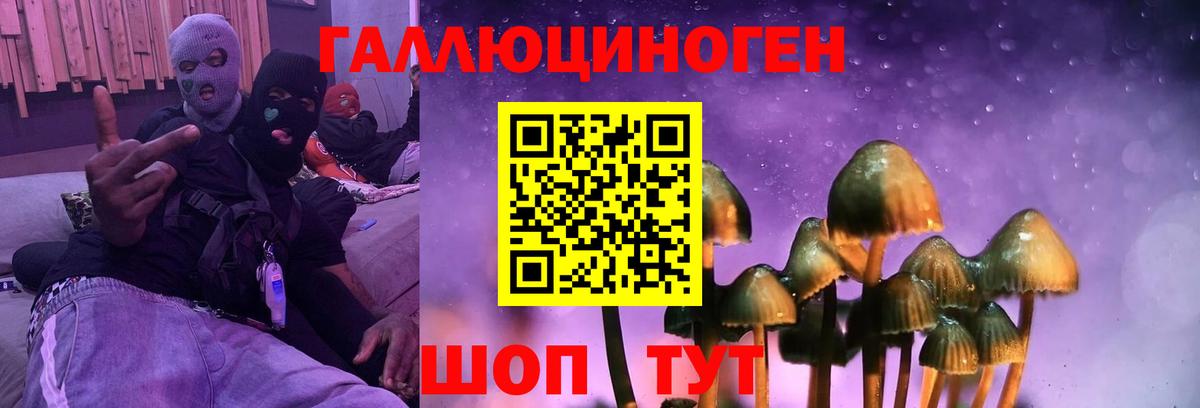 Галлюциногенные грибы GOLDEN TEACHER  Вход с VPN  Галлюциногенные грибы Psilocybe  Кохма 